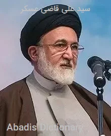 سید علی قاضی عسکر